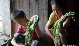 江西姐弟网红吃瓜事件视频,揭秘网络红人背后的真相